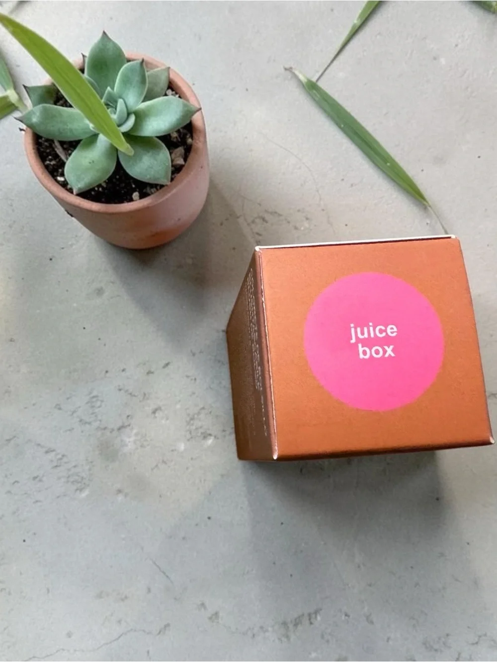 Page Vine Pocket Blush – Compact Cream Blush ✨